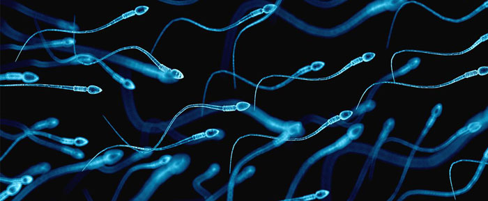 افزایش اسپرم