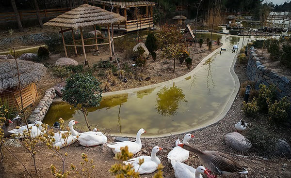 باغ پرندگان تهران، محلی برای دوستداران حیات وحش