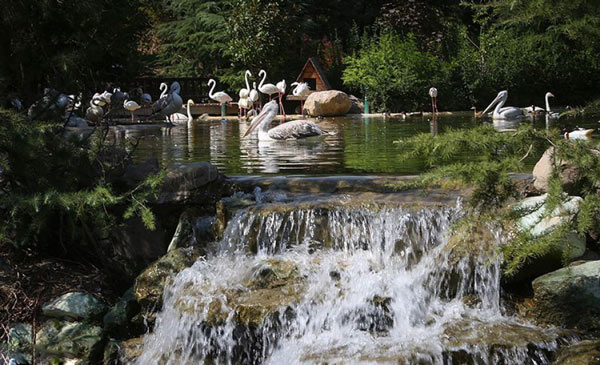 باغ پرندگان تهران، محلی برای دوستداران حیات وحش