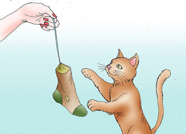 عکس وسایل بازی گربه با جوراب