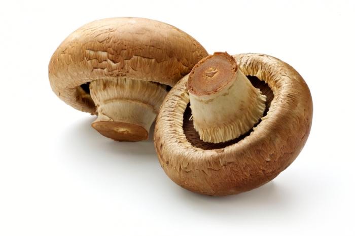 ۱۳ حقیقت شگفت انگیز درباره خواص قارچ خوراکی