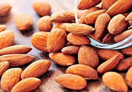 خواص بادام تلخ چیست؟ (همه چیز درباره مضرات و خواص بادام تلخ)