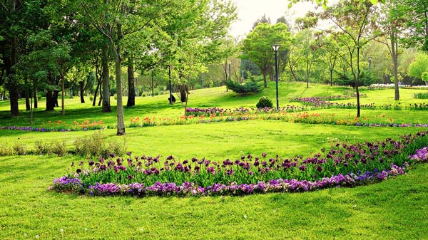 پارک ملت تهران را بشناسید