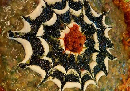 طرز تهیه شله قلمکار نذری به ۳ روش