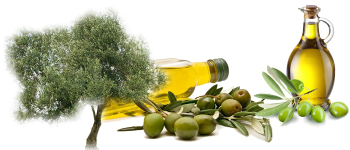 ۱۱ مزیت روغن زیتون نسبت به روغن جامد ۱۱ مزیت روغن زیتون نسبت به روغن جامد