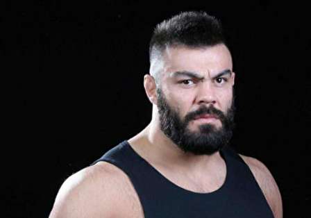 بیوگرافی امیر علی اکبری، ستاره ایرانی MMA