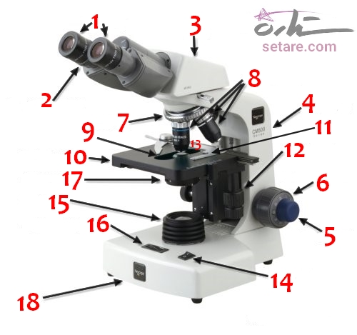 استفاده و نقش میکروسکوپ/اجزای میکروسکوپ