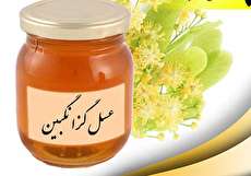 خواص عسل گزانگبين و فوايد مصرف آن
