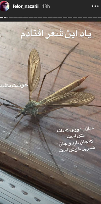 ستارگان مجازی (پنجشنبه ۱۲ مهر ۹۷)