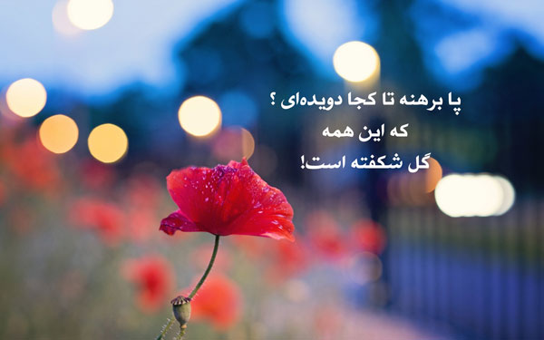 عکس نوشته شعر عاشقانه شاد 