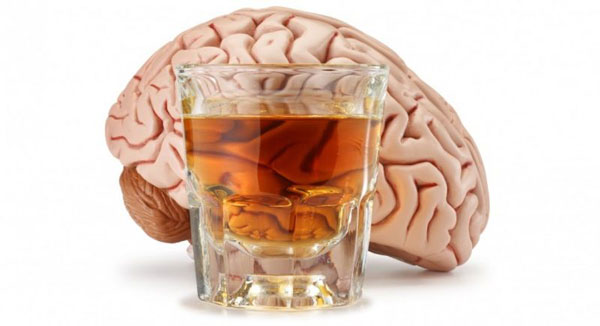 الکل عملکرد مغز را تحلیل می‌برد حتی اگر به میزان ناچیز مصرف شود.