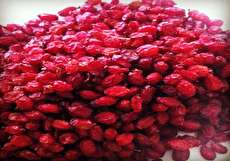 طبع زرشک چیست و چه خواصی دارد؟