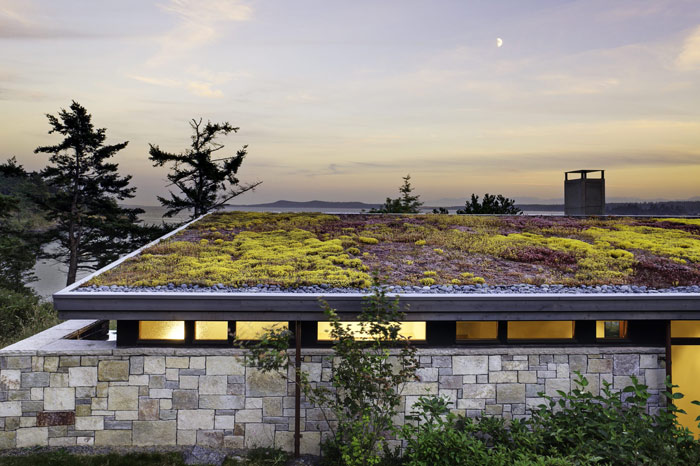 گلخانه در پشت بام، چگونه یک سقف سبز داشته باشیم؟!