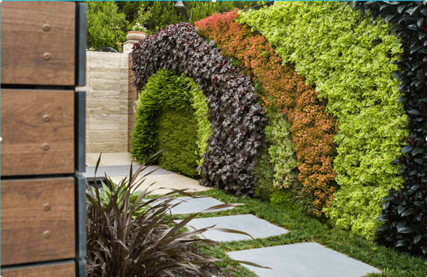 انتخاب نوع گیاهان دیوار‌های سبز