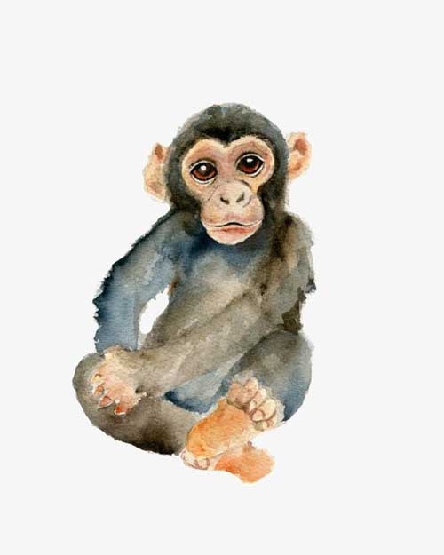طالع بینی چینی متولدین سال میمون، خصوصیات کلی متولدین سال میمون