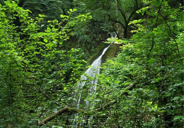 آبشار پارک ملی گلستان