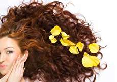 طرز تهیه ۲۰ نوع ماسک مو برای موخوره