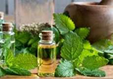 آشنایی با خواص روغن براهمی؛ عوارض، نحوه مصرف و موارد منع مصرف