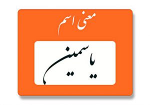 معنی اسم یاسمین