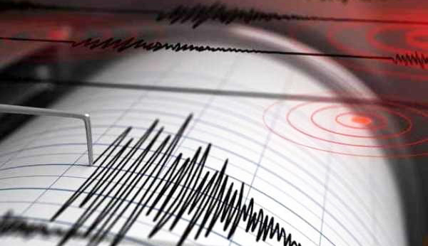 زمین‌ لرزه ۴.۹ ریشتری دشتستان بوشهر خسارتی در پی نداشت