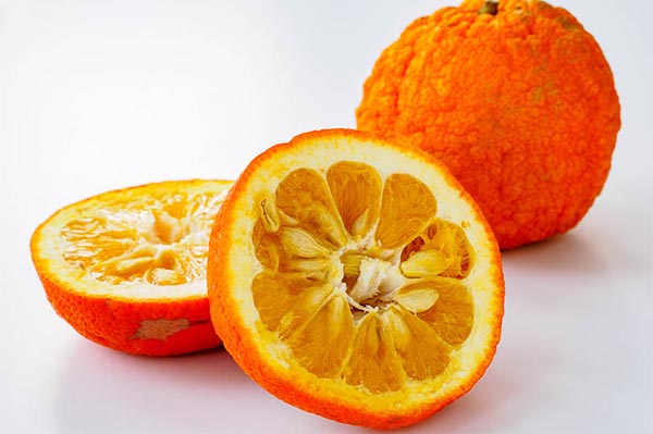طبع نارنج 