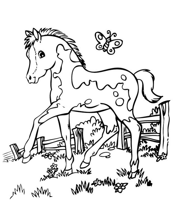 نقاشی اسب خوشگل