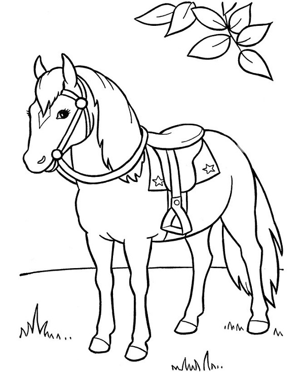 نقاشی اسب سوارکاری
