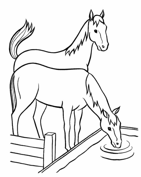 نقاشی اسب اسطبل