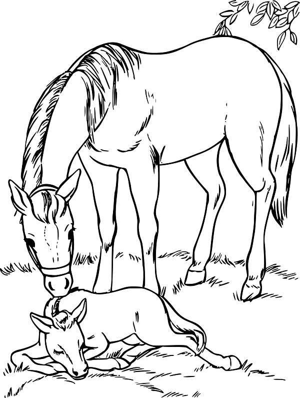 نقاشی اسب مادر و بچه