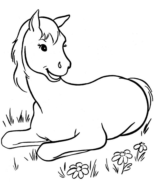 نقاشی بچه اسب 