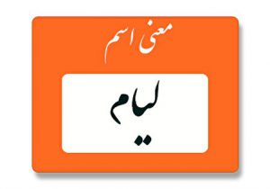 معنی اسم لیام