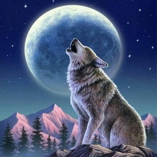عکس گرگ و ماه بر قله کوه