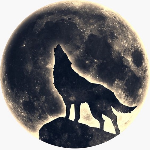 عکس سایه گرگ در کره ماه