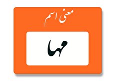 معنی اسم مها چیست؟ (ریشه، فراوانی و اسامی مشابه مها)