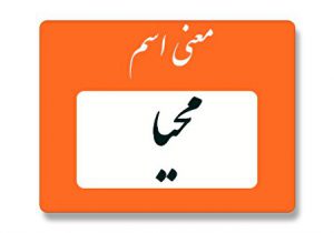 معنی اسم محیا