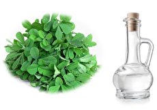 خواص عرق شنبلیله؛ از کاهش قندخون تا درمان ریزش مو