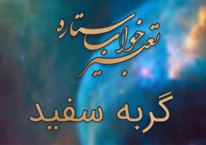 تعبیر خواب گربه سفید - دیدن گربه سفید در خواب چه تعبیری دارد؟