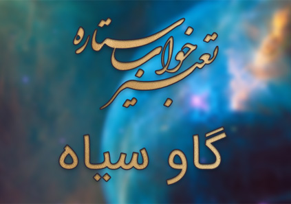 تعبیر خواب گاو سیاه - دیدن گاو سیاه در خواب چه تعبیری دارد؟