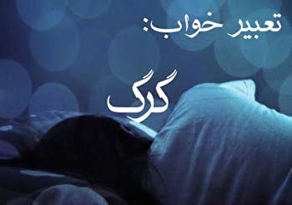 تعبیر خواب گرگ - دیدن گرگ در خواب چه تعبیری دارد؟