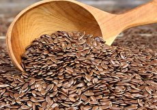 خواص تخم کتان؛ آنچه از این دانههای با ارزش نمیدانید!