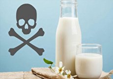 آیا ماجرای شیرهای سمی صحت دارد؟