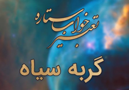 تعبیر خواب گربه سیاه - دیدن گربه سیاه در خواب چه تعبیری دارد؟