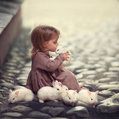 عکس دختر بچه با خرگوش‌های سفید