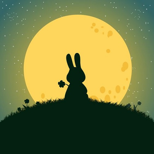 عکس کارتونی پروفایل خرگوش هنگام غروب