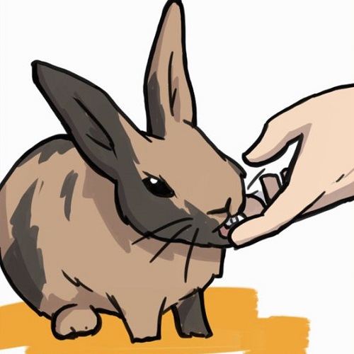 عکس خرگوش کارتونی عصبانی