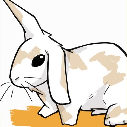 عکس خرگوش کارتونی ناز