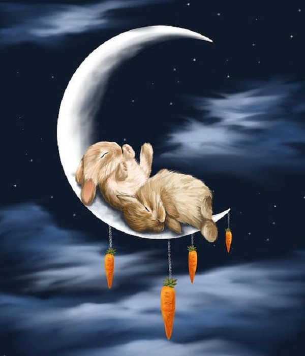 عکس خرگوش کارتونی ناز با هویج
