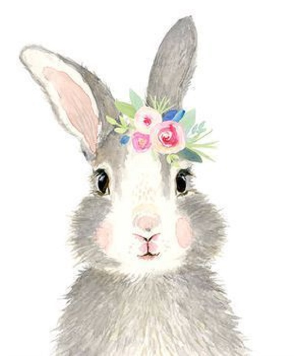 عکس خرگوش کارتونی برای نقاشی