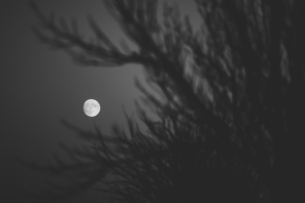 عکس سیاه و سفید ماه کامل