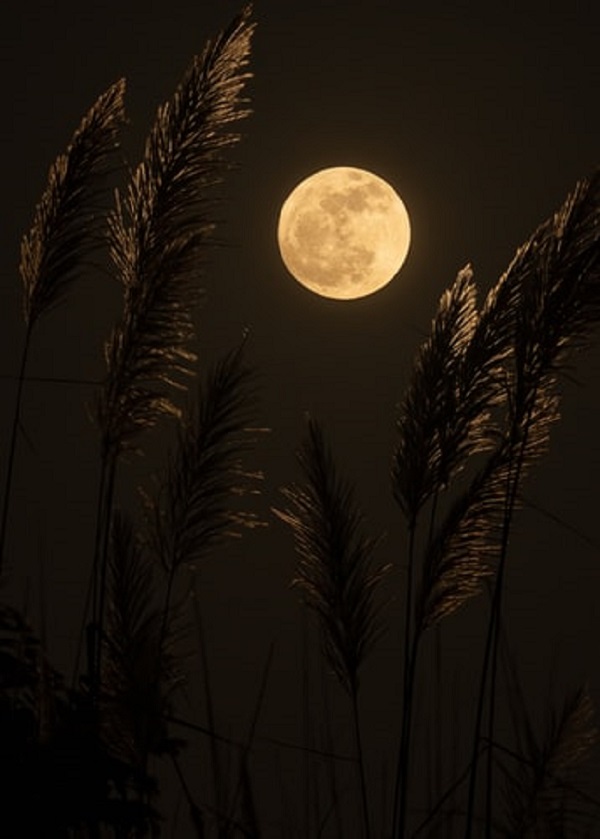 تصویر ماه و آسمان زیبا برای تلگرام و اینستاگرام
